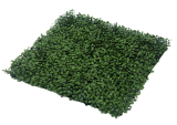BUXUS GREEN PREMIUM, dílec 50x50cm