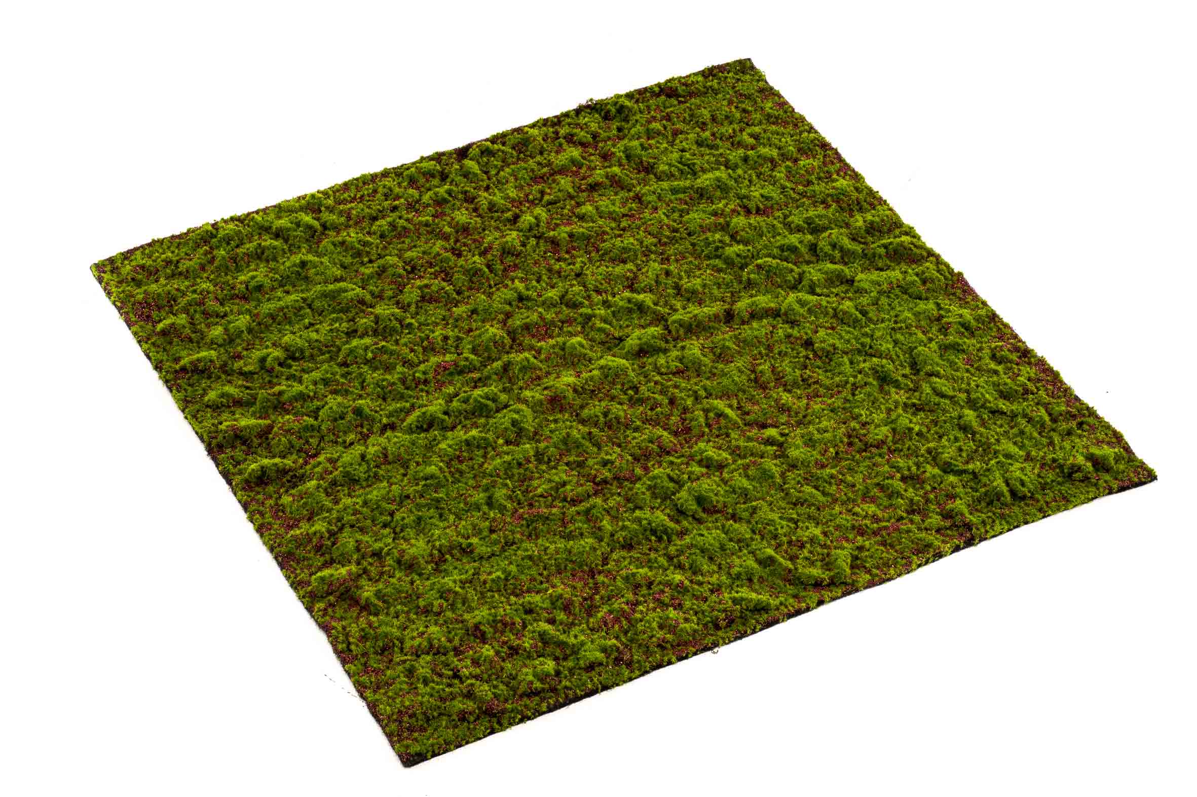 Umělý mech Grimmia, 100 x 100cm