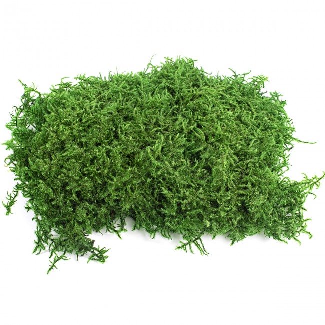 Dekorační stabilizovaný mech plochý Lycopodium 1,5 kg, zelený
