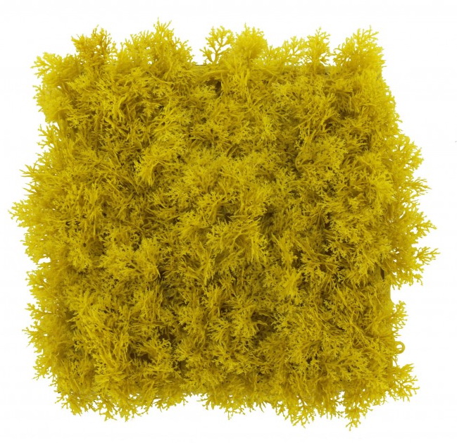 Umělý stabilizovaný islandský mech žlutý, 50 x 50cm