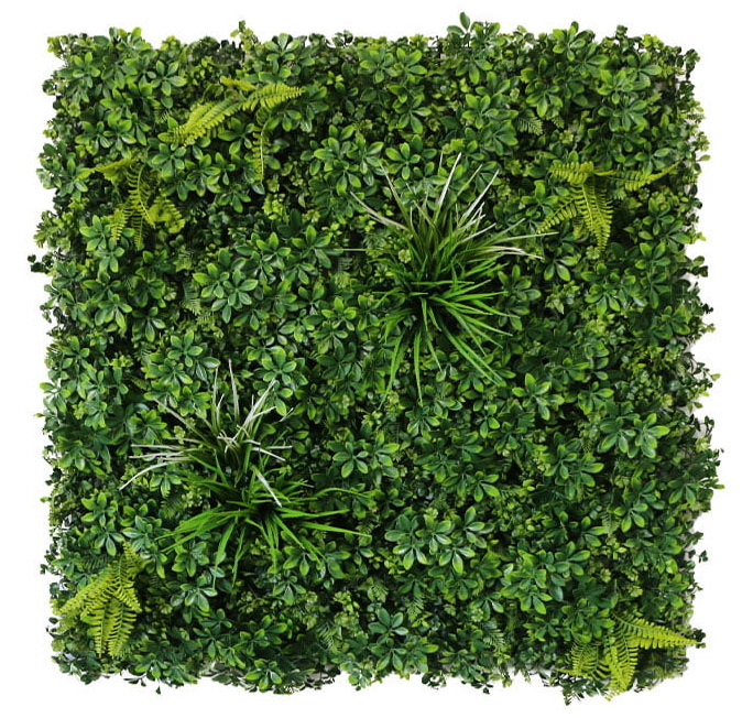 Umělá živá zelená stěna ŠEFLERA 2, 100 x 100cm