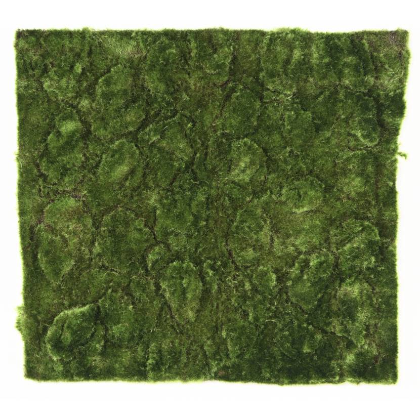 Umělá živá zelená stěna MECH lux, 50 x 50cm