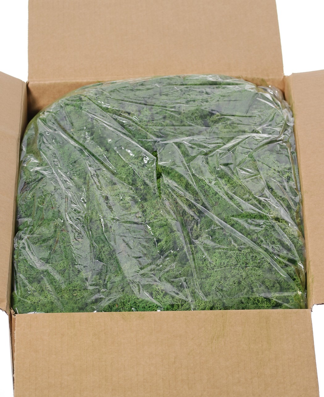 Dekorační stabilizovaný mech tmavě zelený v boxu 5kg 