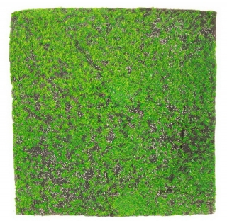 Umělá živá zelená stěna MECH 23, rozměr 100 x 100cm