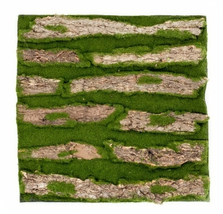 Umělá živá zelená stěna MECH a kůra, 50 x 50cm