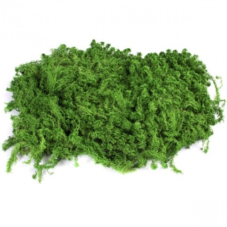Dekorační stabilizovaný mech plochý Sphagnum 1,5 kg, zelený