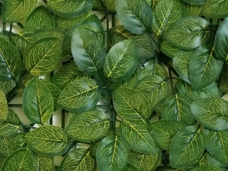 FITTONIA SOFT, sada dílců pro 1,5x4m