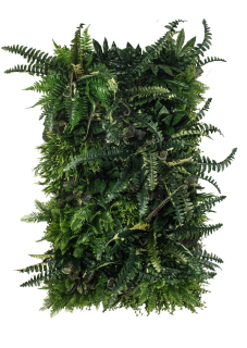 Vertikální zahrada z umělých rostlin STUDIOGREEN model 4, 50x100cm