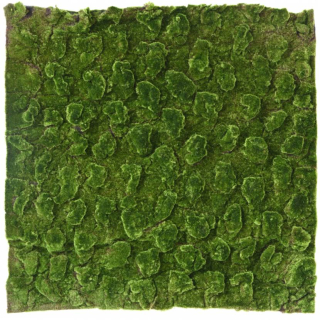 Umělá živá zelená stěna MECH TOP, 100 x 100cm